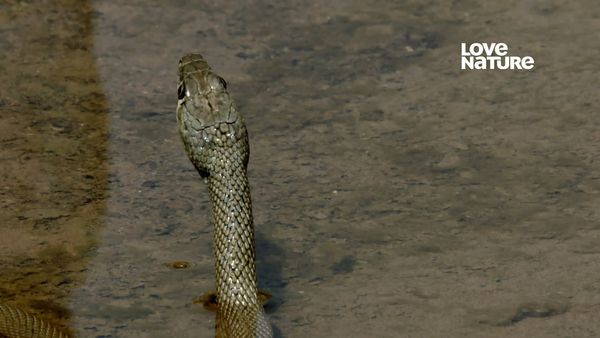 Arábia ao Extremo - Estranhas Maravilhas do Uádi