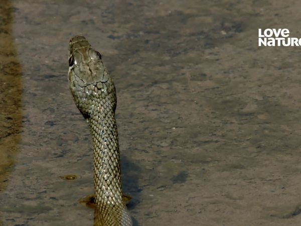 Arábia ao Extremo - Estranhas Maravilhas do Uádi