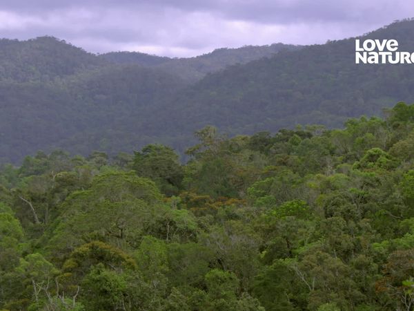 A Incrível Madagascar - Espírito Lêmure