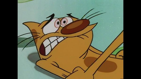 CatDog - Permaneçam sentados / Carrocinha