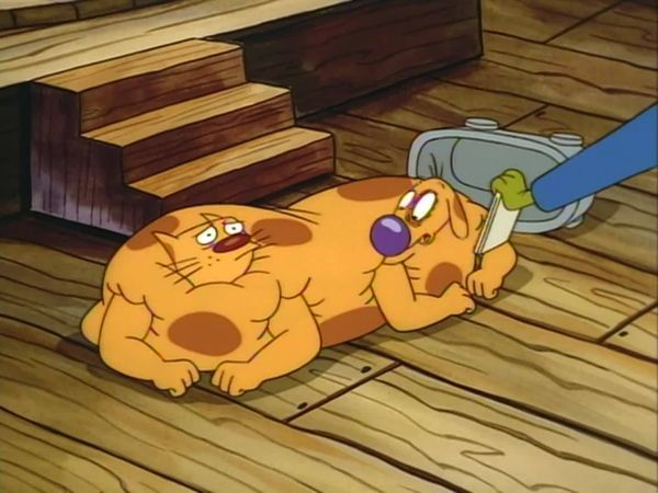 CatDog - Noite encantada de sumô / Hotel Catdog