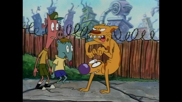 CatDog - 1º de Abril / De volta a escola
