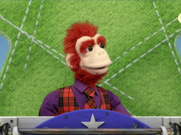Jogo Animal - Ovos Extraordinários