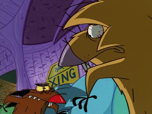 The Angry Beavers - Con la mirada fija / Los bromistas
