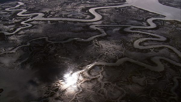The World From Above - Georgia - Fort Pulaski to Okefenokee Swamp