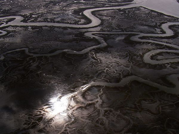 The World From Above - Georgia - Fort Pulaski to Okefenokee Swamp