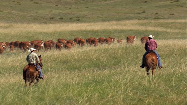 The World From Above - USA - Nebraska: Lincoln to Bowing Ranch