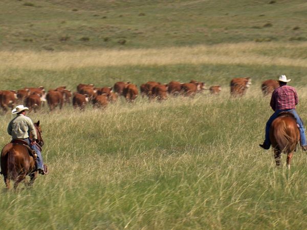 The World From Above - USA - Nebraska: Lincoln to Bowing Ranch