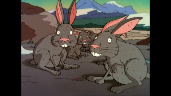 Os Thornberrys - Eu quero aquela coelha