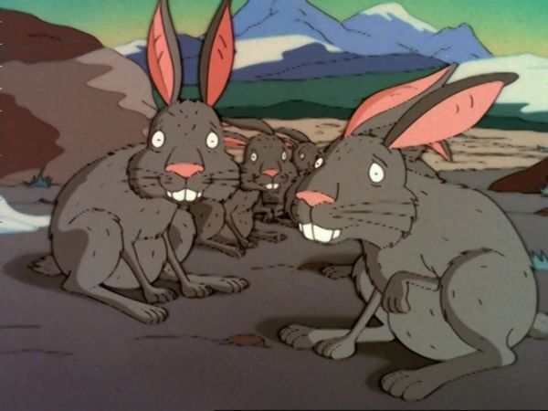 Os Thornberrys - Eu quero aquela coelha
