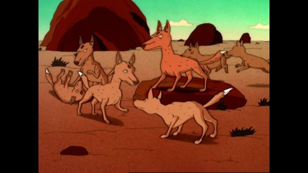 Os Thornberrys - Dança com cães selvagens