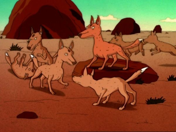 Os Thornberrys - Dança com cães selvagens