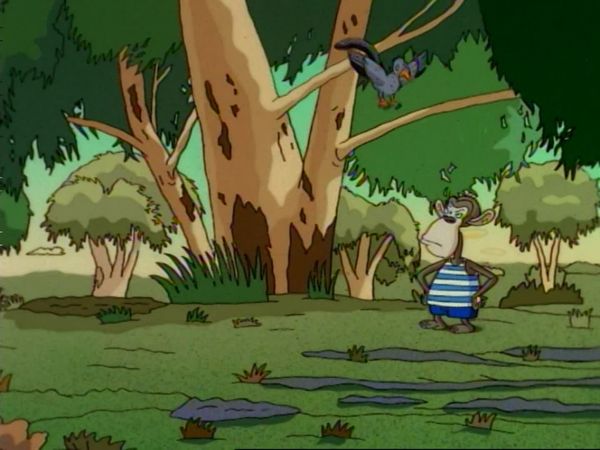 Os Thornberrys - Qualidade e quantidade