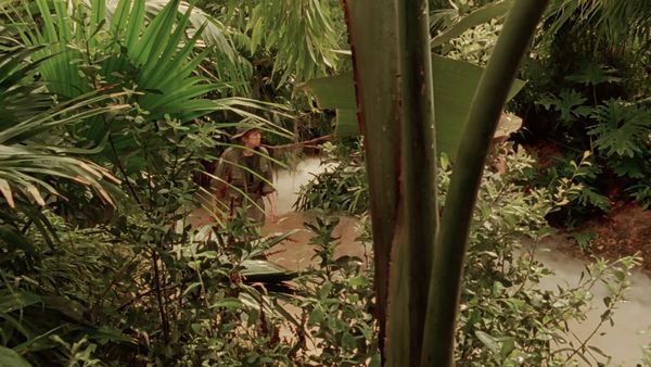 Los asesinatos de Midsomer - Orchis fatalis