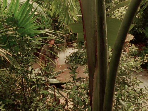 Los asesinatos de Midsomer - Orchis fatalis