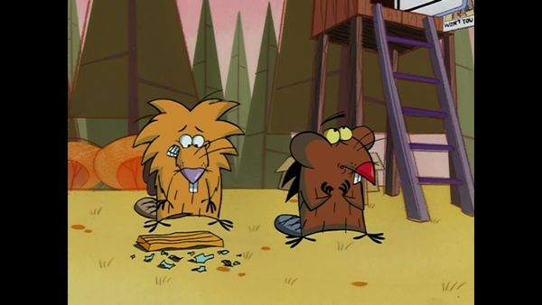 Os Castores Pirados - Episódio 50
