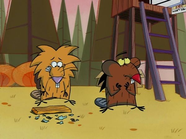 Os Castores Pirados - Episódio 50