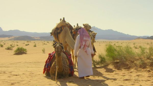 Wildest Middle East - Wildest Middle East