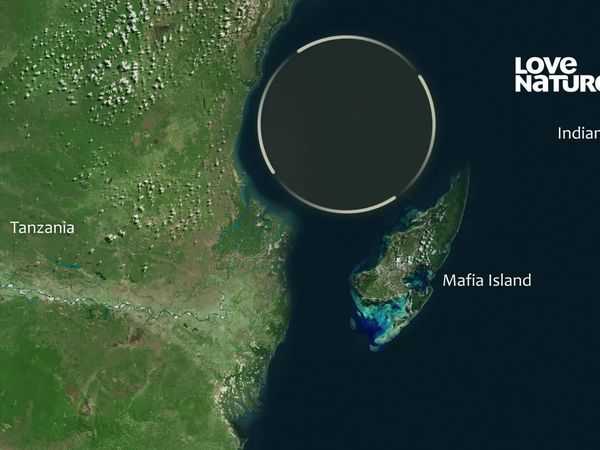 África: Maravilhas do Mundo Marinho - Ilha da Máfia - Paraíso Encantado