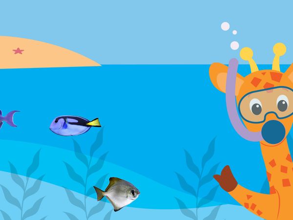 Baby Einstein Classics: Science and Nature - Baby Galileo: Discovering the Sky
