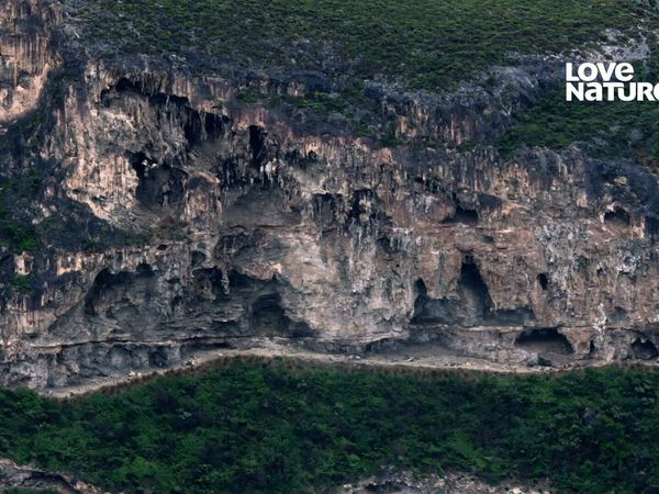 Ilhas Ocultas da Austrália - Ilha Canguru
