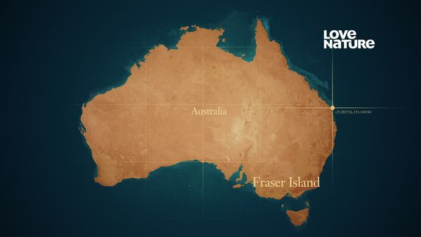 Ilhas Ocultas da Austrália - Ilha Fraser