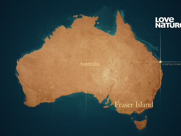 Ilhas Ocultas da Austrália - Ilha Fraser