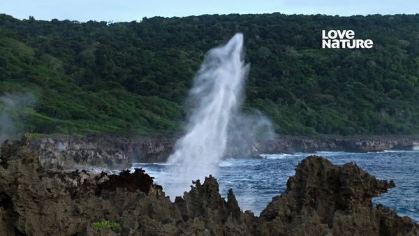 Ilhas Ocultas da Austrália - Ilha do Natal