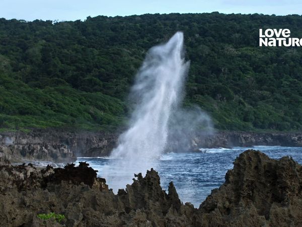 Ilhas Ocultas da Austrália - Ilha do Natal