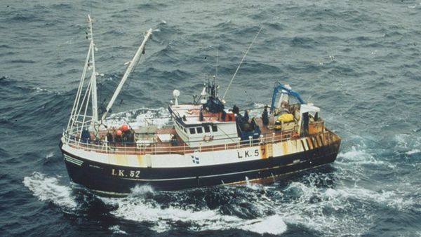 High Seas Rescue - Negocio riesgoso
