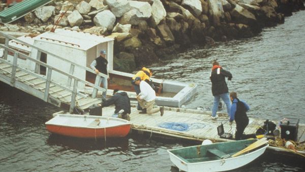 High Seas Rescue - Cuando el placer se convierte en peligro