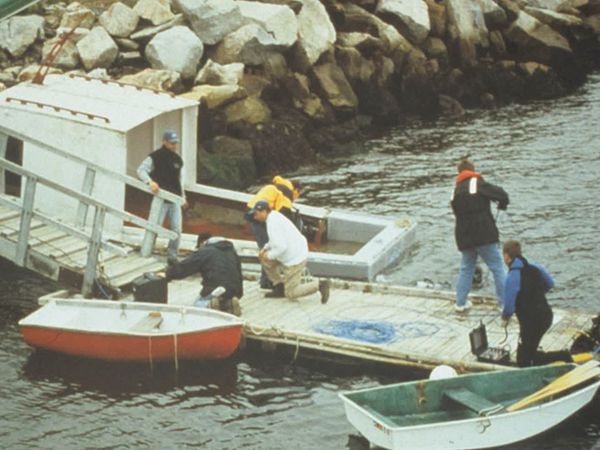 High Seas Rescue - Cuando el placer se convierte en peligro