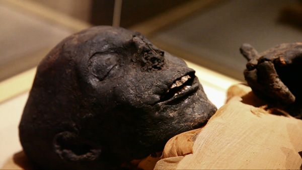 Secretos de los Museos - Egipto