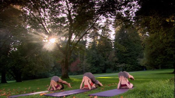 Namaste Yoga - Paloma