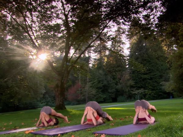 Namaste Yoga - Paloma
