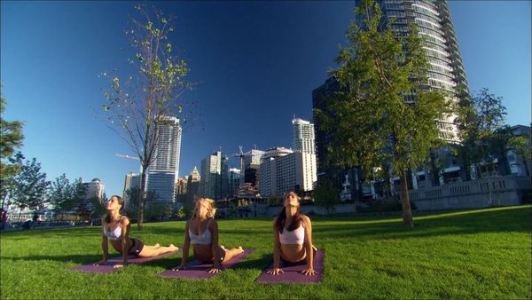 Namaste Yoga - Señor de los peces