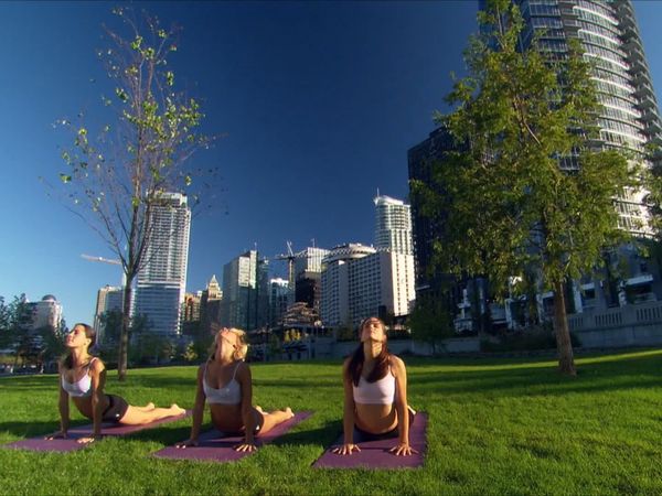 Namaste Yoga - Señor de los peces