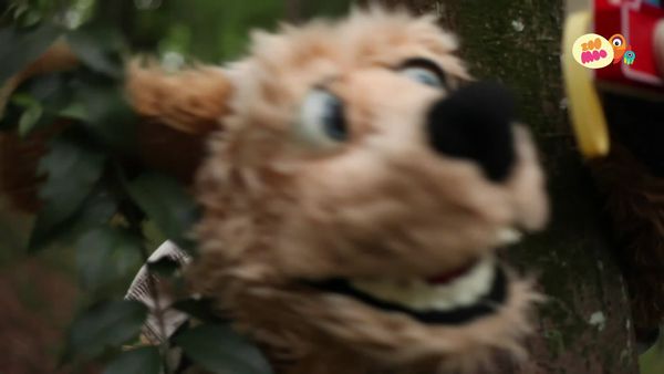 Flash, o Aventureiro - Camelo