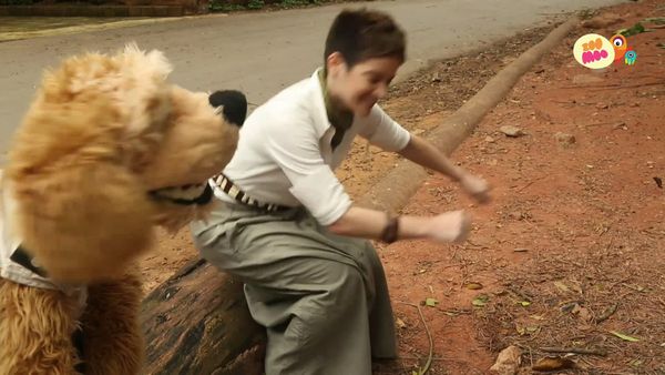 Flash, o Aventureiro - Cervos