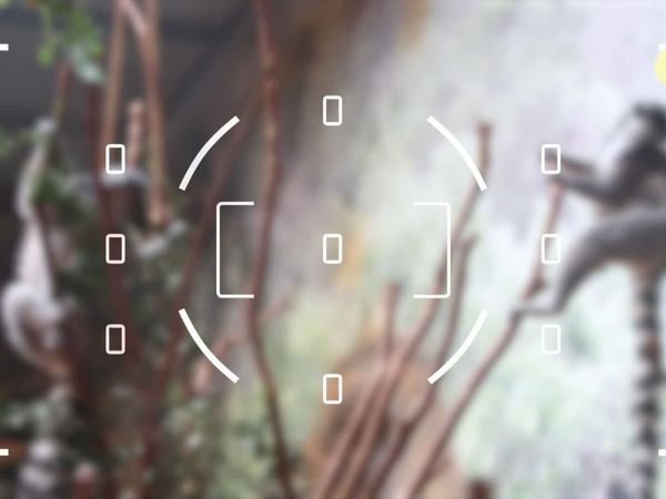 Flash, o Aventureiro - Lemure