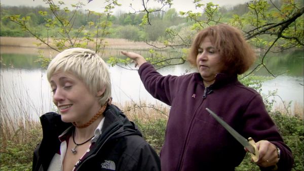 History Cold Case UK - The York 113