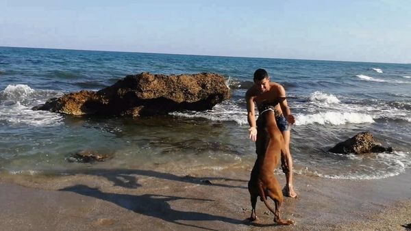 Cuando las Bestias Atacan - Episodio 1