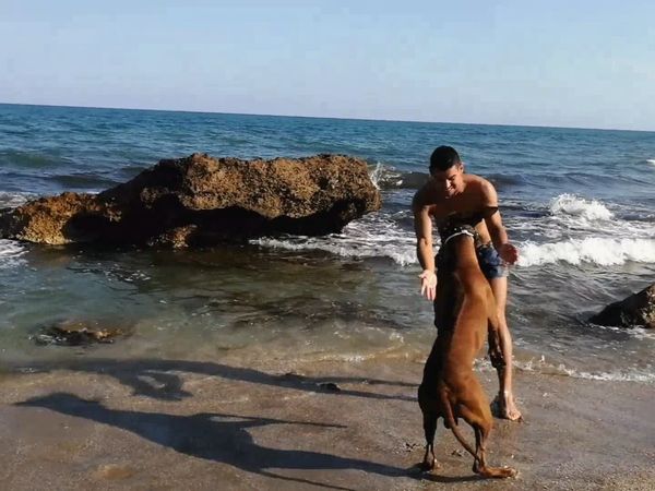 Cuando las Bestias Atacan - Episodio 1