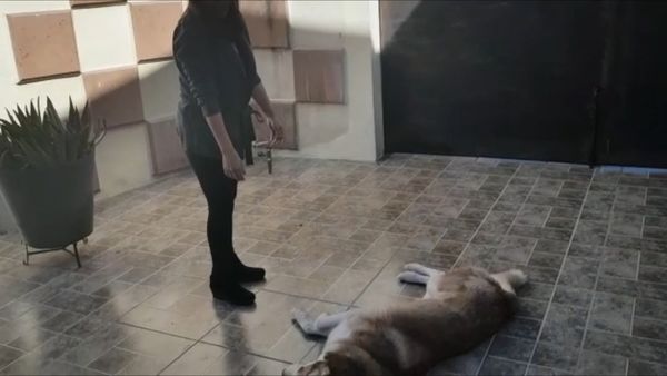 Patas a la Obra - Episodio 2