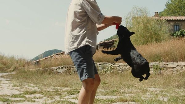 Pet Play - Episodio 2