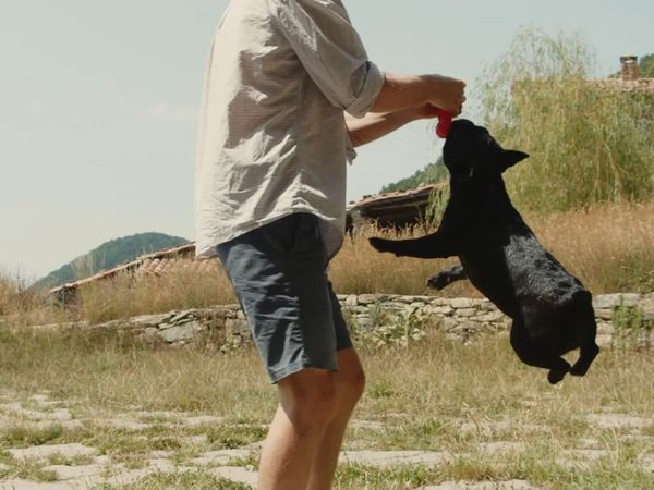 Pet Play - Episodio 2