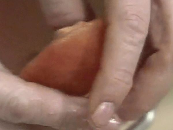 The French Chef - Lasagne a la Francaise