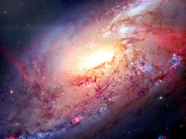 Sci Q - What’s Your Science IQ?