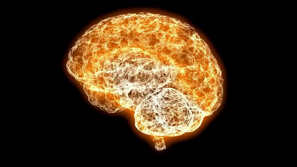 Sci Q - Discover your Science Intelligence