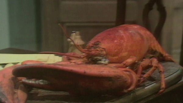 The French Chef - Lobster Show